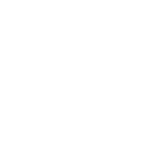 Portfolio icon
